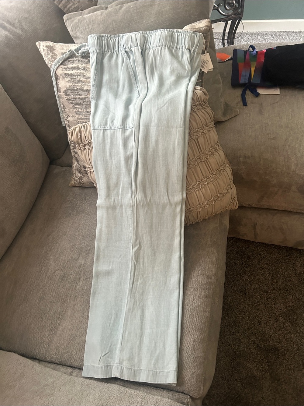 Workshop Republic Clothing Light Blue Women’s Chinos